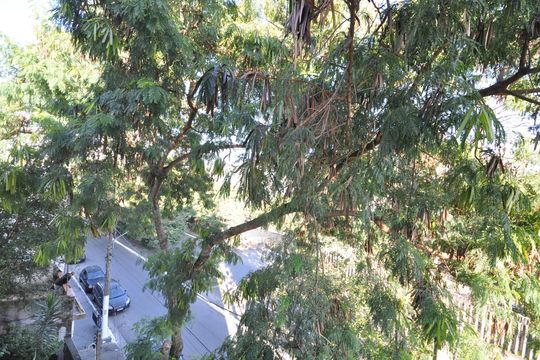 Vista do Quarto de apartamento para alugar com 1 quarto, 30m² em Vila Gustavo, São Paulo