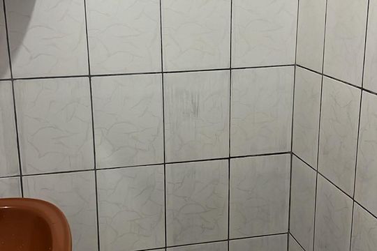 Banheiro de casa para alugar com 2 quartos, 65m² em Vila Zat, São Paulo