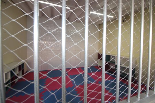 Área Comum de apartamento à venda com 3 quartos, 74m² em Guapira, São Paulo