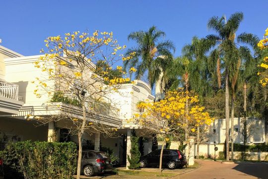 Casa à venda com 3 quartos, 260m² em Santo Amaro, São Paulo