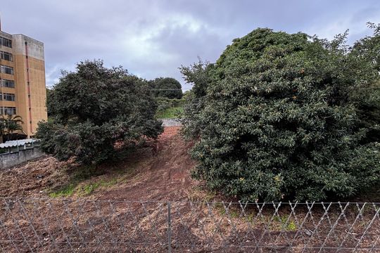 Área de Serviço Vista de apartamento à venda com 2 quartos, 63m² em Parque Oratório, Santo André