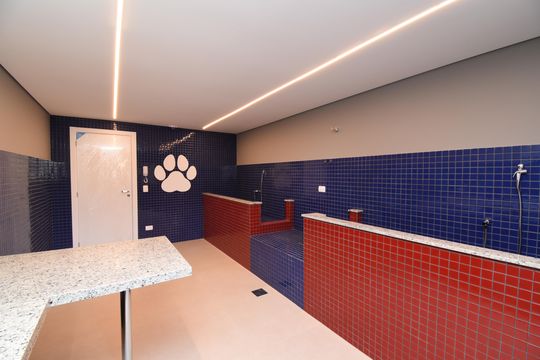 Área comum - Pet de apartamento à venda com 2 quartos, 46m² em Centro, Curitiba