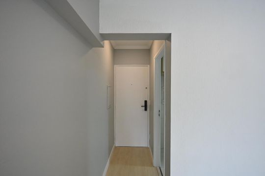 Hall de Entrada de apartamento para alugar com 2 quartos, 52m² em Vila Suzana, São Paulo