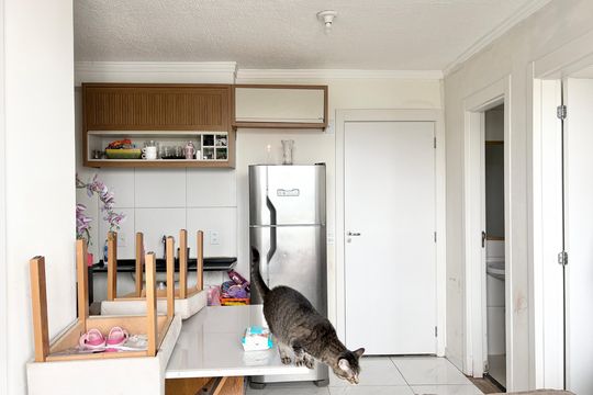 Sala de apartamento à venda com 2 quartos, 39m² em Piqueri, São Paulo