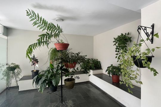 Kitnet/Studio à venda com 1 quarto, 45m² em Bosque, Campinas