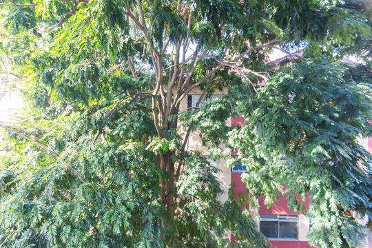 Vista de apartamento para alugar com 2 quartos, 45m² em Ayrosa, Osasco