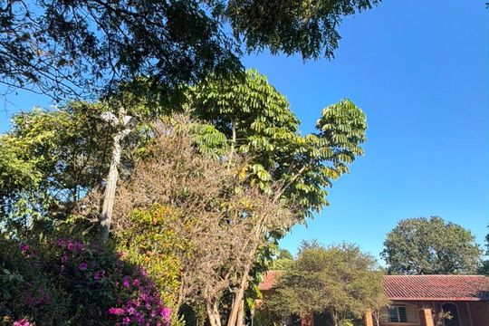 Área externa de casa à venda com 4 quartos, 2500m² em Chácaras São Bento, Valinhos