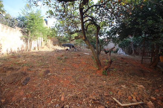 Quintal de casa à venda com 2 quartos, 360m² em Pindorama, Belo Horizonte