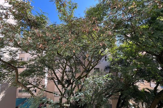 Vista - Quarto 1 de apartamento para alugar com 2 quartos, 53m² em Independência, São Bernardo do Campo