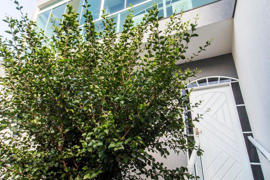 Entrada de apartamento à venda com 3 quartos, 296m² em Votupoca, Barueri