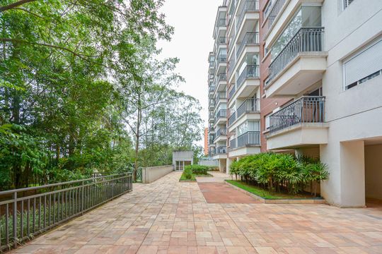 Área comum de apartamento para alugar com 1 quarto, 76m² em Vila do Castelo, São Paulo