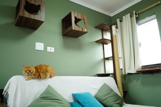 Apartamento à venda com 2 quartos, 57m² em Chácara Seis de Outubro, São Paulo