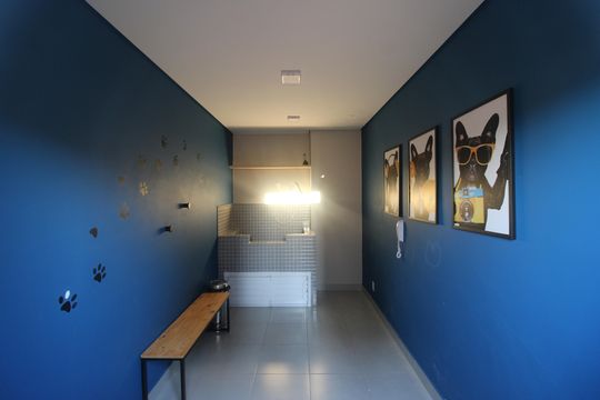 Área Comum de apartamento à venda com 2 quartos, 34m² em Vila Carmosina, São Paulo