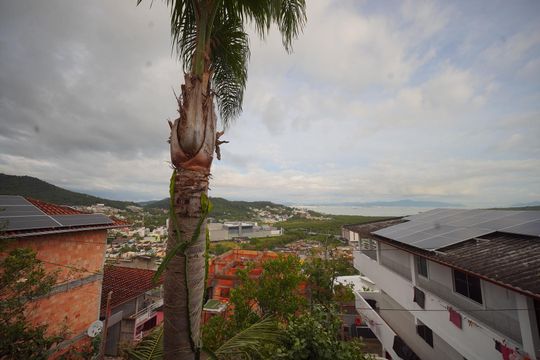 Vista da Varanda de kitnet/studio para alugar com 1 quarto, 30m² em Saco Grande, Florianópolis