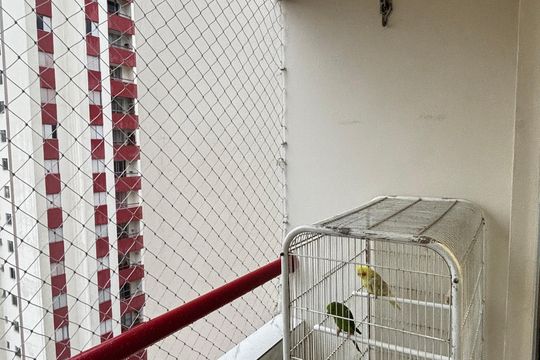 Sala - Sala de Jantar Varanda de apartamento à venda com 3 quartos, 73m² em Jardim do Estádio, Santo André