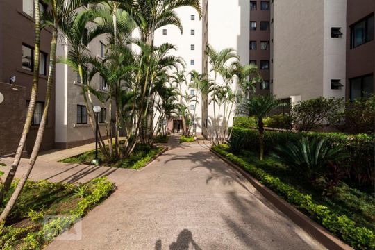 Área comum de apartamento para alugar com 2 quartos, 52m² em Vila Santa Catarina, São Paulo