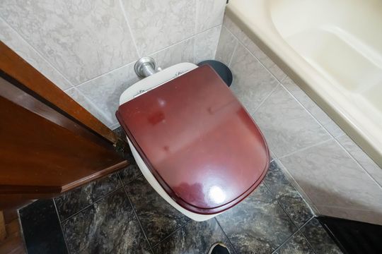 Banheiro de apartamento para alugar com 2 quartos, 55m² em Bela Vista, São Paulo