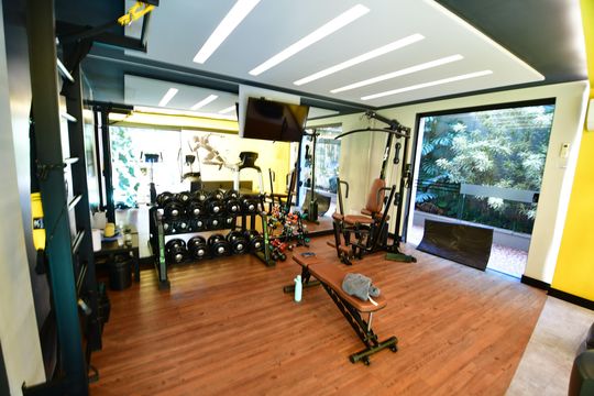 Área comum - Academia de apartamento à venda com 3 quartos, 380m² em Cambuí, Campinas