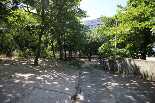 Área comum - Verde de apartamento à venda com 3 quartos, 120m² em Olaria, Rio de Janeiro