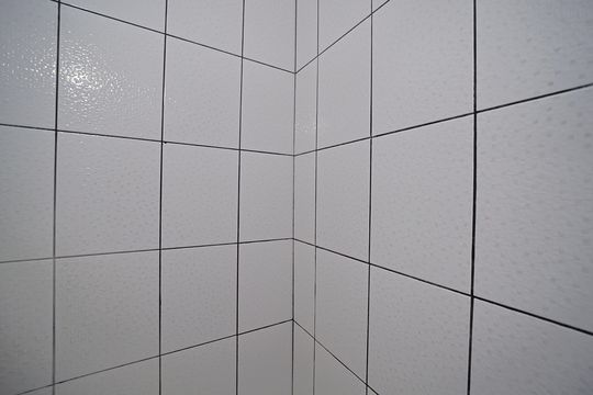 Banheiro de apartamento para alugar com 2 quartos, 57m² em Conjunto Habitacional Padre Jose de Anchieta, São Paulo