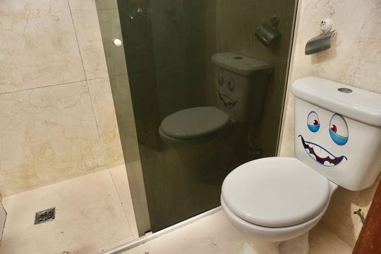 Banheiro  de apartamento para alugar com 1 quarto, 60m² em Santo Agostinho, Belo Horizonte