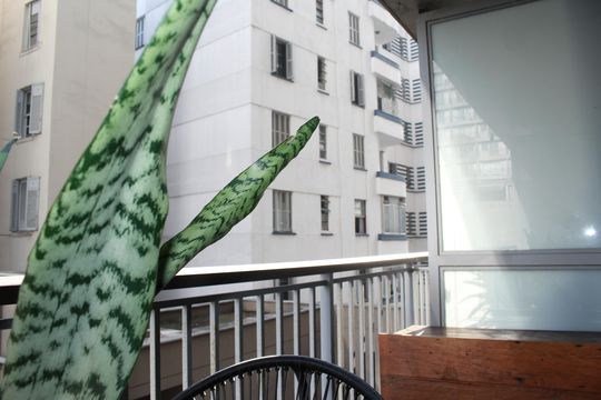 Kitnet/Studio para alugar com 1 quarto, 36m² em República, São Paulo