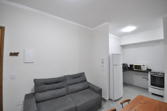 Sala de apartamento para alugar com 2 quartos, 46m² em Parque Vitoria, São Paulo