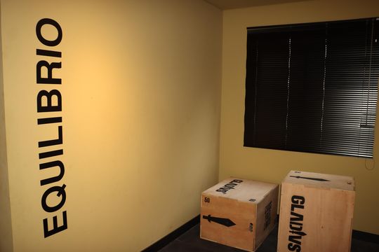 Apartamento para alugar com 1 quarto, 39m² em Cidade São Mateus, São Paulo