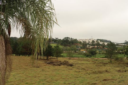 Apartamento para alugar com 2 quartos, 47m² em Jardim Sandra, Cotia