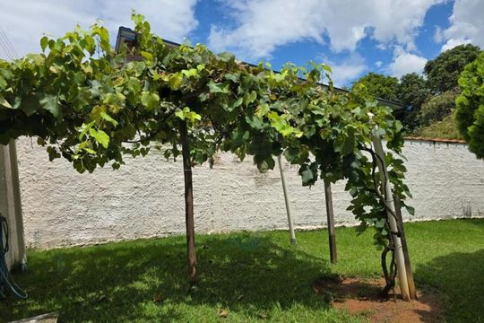 Casa à venda com 4 quartos, 542m² em Chácaras São Bento, Valinhos