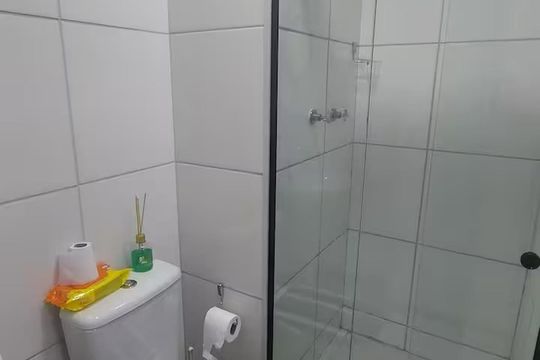 Banheiro de apartamento para alugar com 2 quartos, 45m² em Santo Cristo, Rio de Janeiro