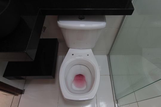 Banheiro Social de apartamento à venda com 2 quartos, 48m² em Piratininga, Belo Horizonte