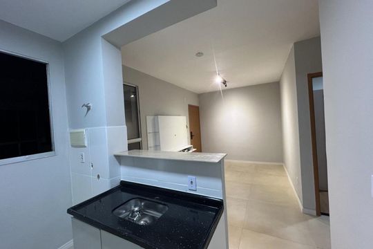 Cozinha de apartamento para alugar com 2 quartos, 42m² em Ipiranga, Ribeirão Preto