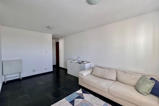 Sala de apartamento para alugar com 2 quartos, 49m² em Brás, São Paulo