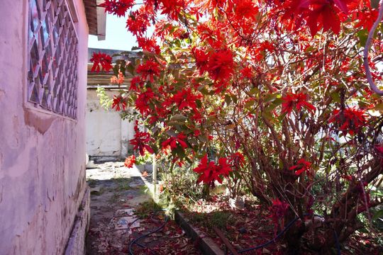 Área comum de casa à venda com 3 quartos, 90m² em Renascença, Belo Horizonte