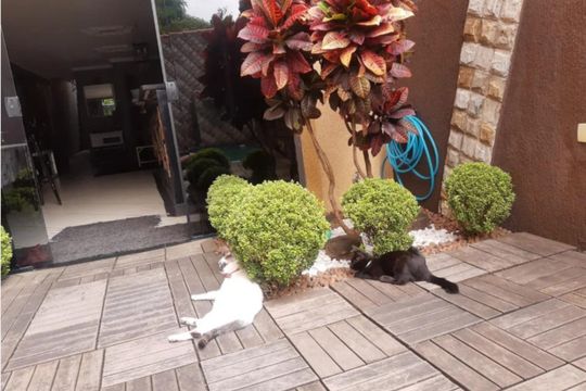 Foto 14 de casa à venda com 3 quartos, 300m² em Jardim Imperador (Zona Leste), São Paulo