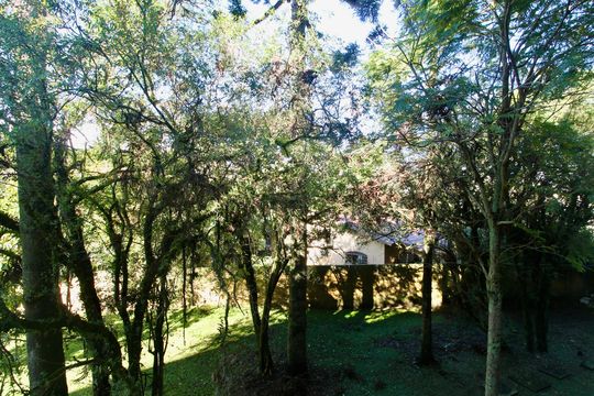 Vista da Sacada de apartamento à venda com 3 quartos, 100m² em Tingui, Curitiba