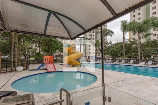 Área comum - Piscina de apartamento para alugar com 3 quartos, 65m² em Jardim das Flores, São Paulo