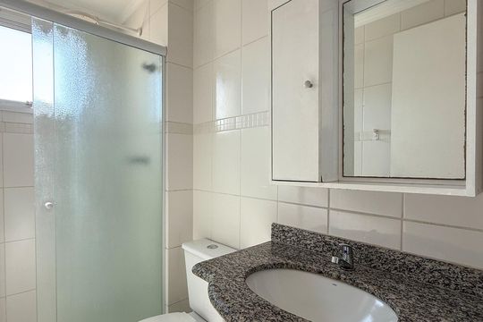 Banheiro de apartamento para alugar com 2 quartos, 46m² em Vila das Merces, São Paulo
