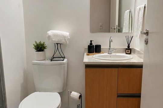 Banheiro de apartamento para alugar com 1 quarto, 25m² em Barra Funda, São Paulo