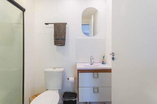 Banheiro de apartamento para alugar com 2 quartos, 55m² em Santo Cristo, Rio de Janeiro