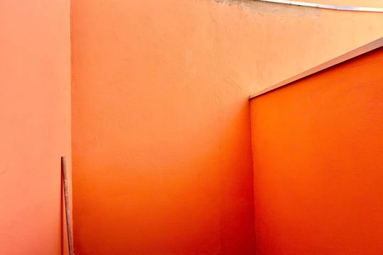 Quarto / Quintal de apartamento para alugar com 1 quarto, 27m² em Vila Nova Cachoeirinha, São Paulo