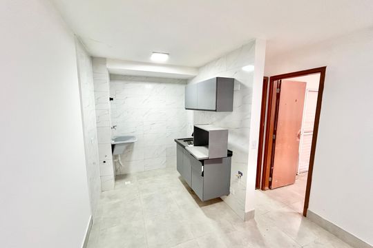 Apartamento para alugar com 1 quarto, 27m² em Vila Nova Cachoeirinha, São Paulo