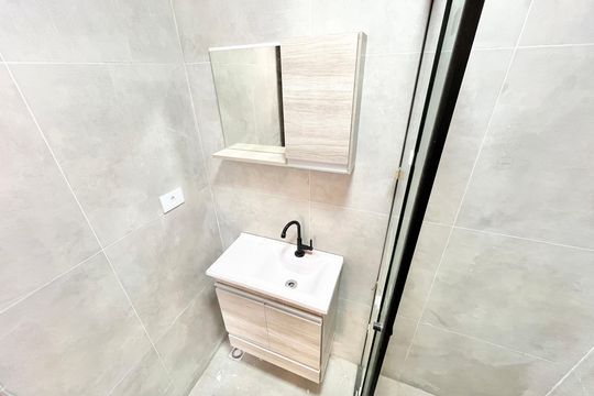 Banheiro de apartamento para alugar com 1 quarto, 25m² em Vila Nova Cachoeirinha, São Paulo