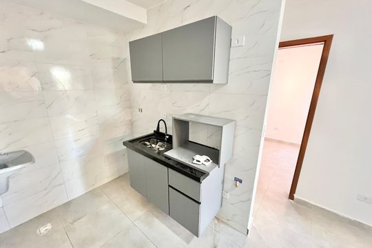 Sala/Cozinha de apartamento para alugar com 1 quarto, 25m² em Vila Nova Cachoeirinha, São Paulo