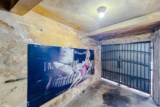 Garagem de casa à venda com 3 quartos, 255m² em Vila Matilde, São Paulo