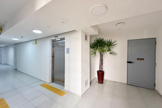 Hall Bloco de apartamento para alugar com 2 quartos, 32m² em Jardim Caravelas, São Paulo