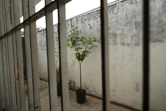 Vista do Quarto 1 de casa à venda com 2 quartos, 106m² em Vila Floresta, Santo André