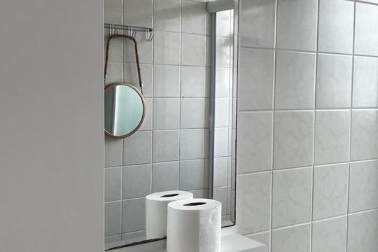 Banheiro de apartamento para alugar com 2 quartos, 55m² em Lajeado, Cotia