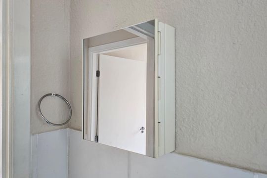 Banheiro Social de apartamento para alugar com 2 quartos, 46m² em Jardim Iv Centenario, Guarulhos